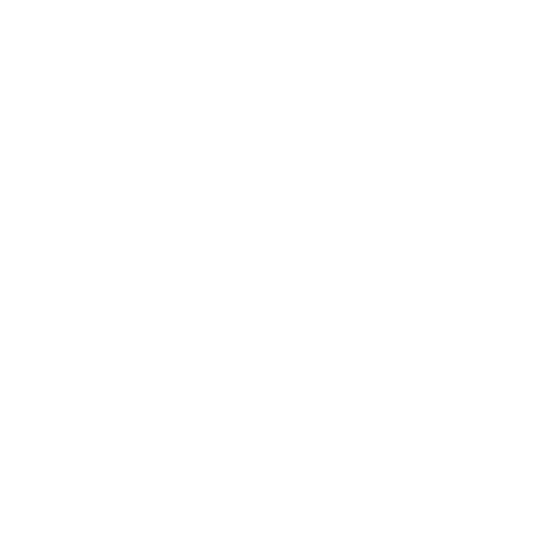 Rig logo