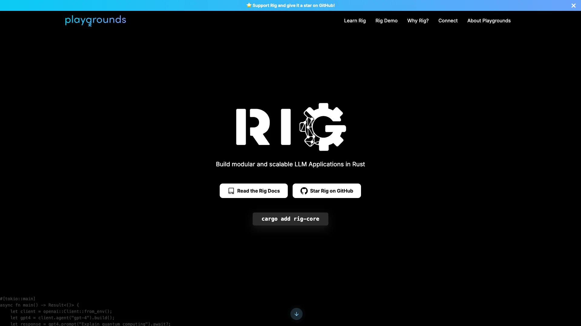 Rig preview