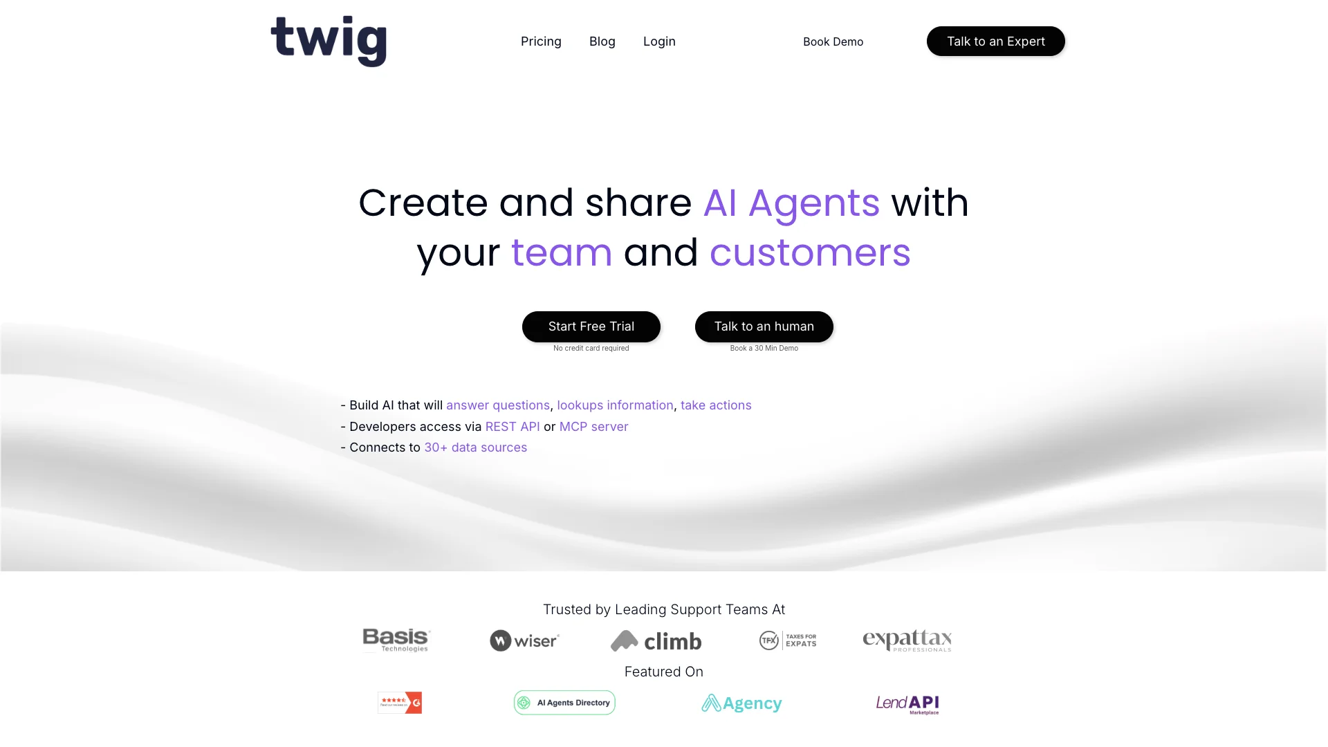 Twig AI preview